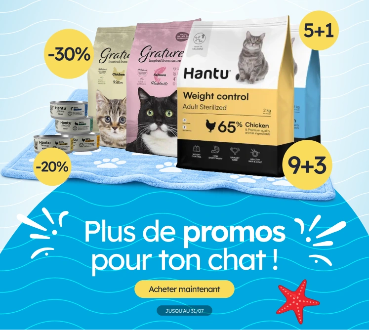 /c/jul-promos-pl-de-gato?utm_source=home&utm_medium=banner&utm_campaign=jul-promos-pl-de-gato&utm_content=medium-banner3&utm_term=cat