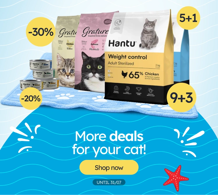 /c/jul-promos-pl-de-gato?utm_source=home&utm_medium=banner&utm_campaign=jul-promos-pl-de-gato&utm_content=medium-banner3&utm_term=cat