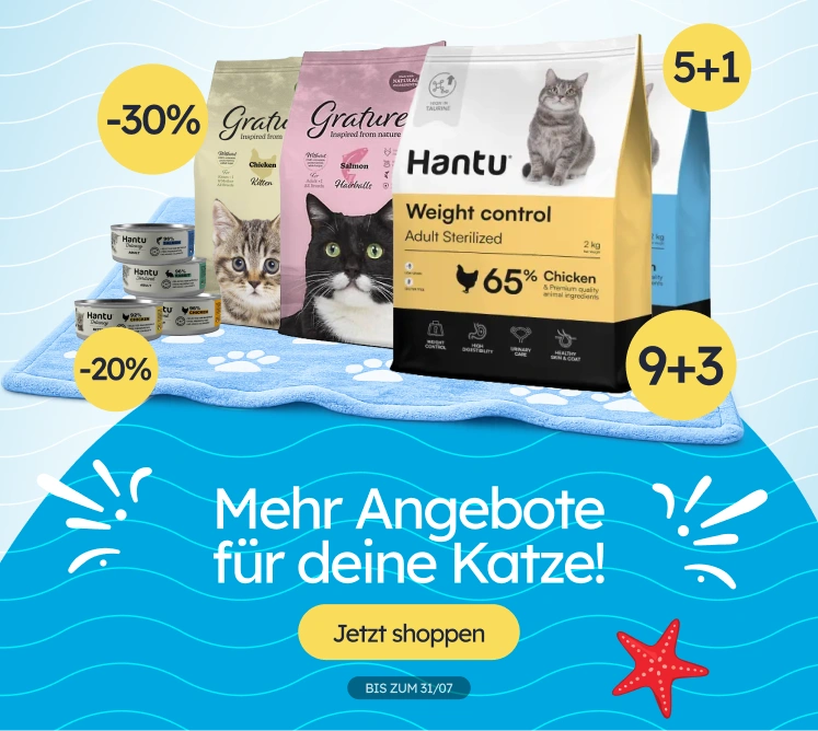/c/jul-promos-pl-de-gato?utm_source=home&utm_medium=banner&utm_campaign=jul-promos-pl-de-gato&utm_content=medium-banner3&utm_term=cat