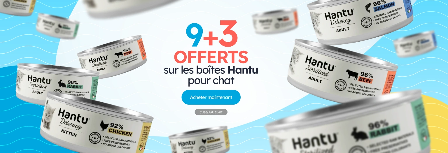 /c/jul-hantu-9-3-latas-gato?utm_source=home&utm_medium=banner&utm_campaign=jul-hantu-9-3-latas-gato&utm_content=hero-banner5