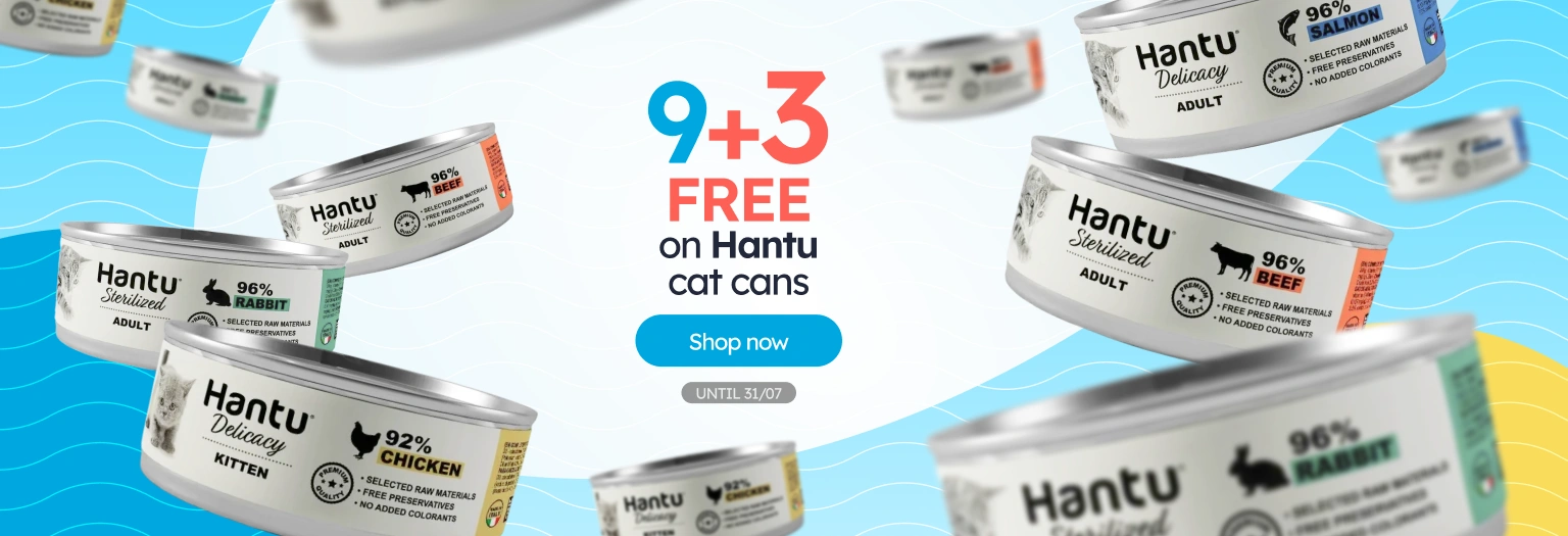 /c/jul-hantu-9-3-latas-gato?utm_source=home&utm_medium=banner&utm_campaign=jul-hantu-9-3-latas-gato&utm_content=hero-banner5
