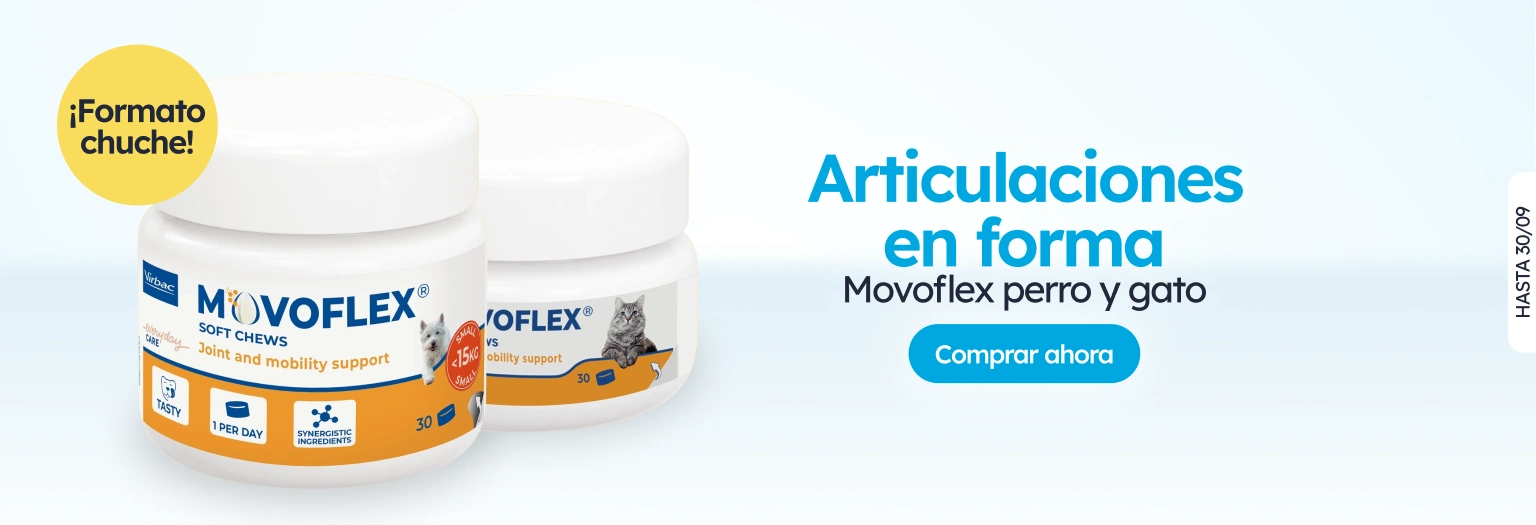 /c/septiembre-movoflex