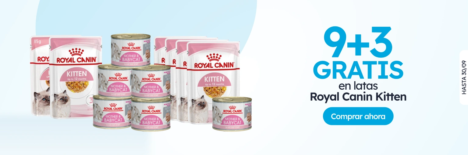 /c/septiembre-royal-canin-9-3-latas