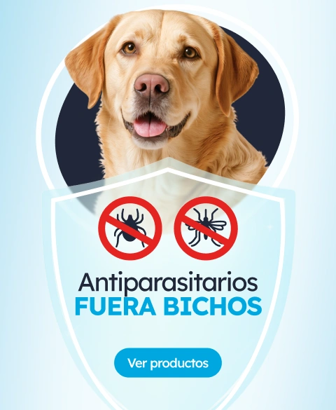 /c/promo-antis