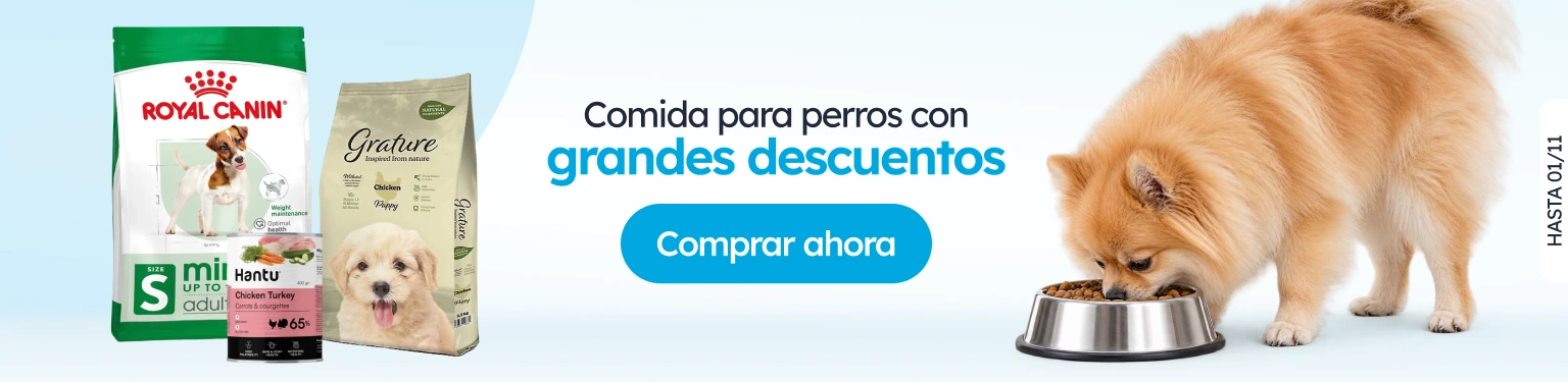 /c/grandes-descuentos-perro