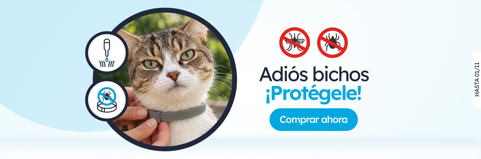 /c/promo-antis/116