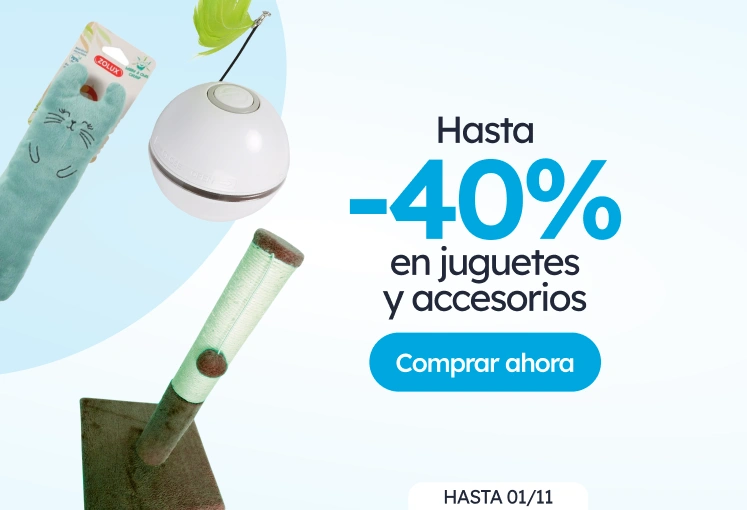 /c/juguetes-y-accesorios-gato