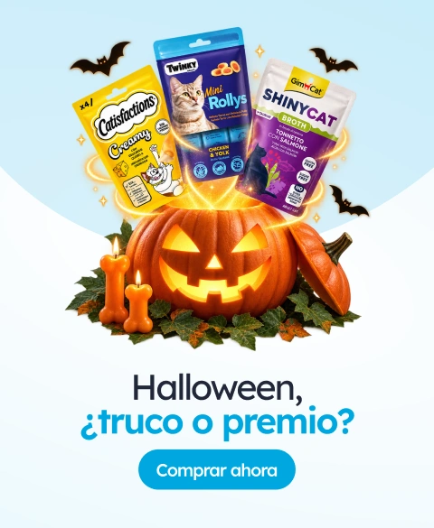 /c/truco-o-premio