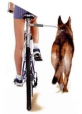 Bike Accessories