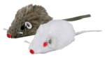 Souris