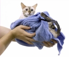 Towels