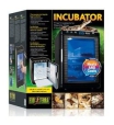 Inkubatory