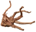 Tronc d'arbre et racines