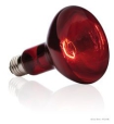 Lampen