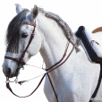 Horse riding equipment