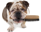 Peigne et brosses