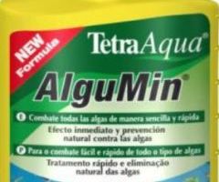 Anti-Algen