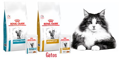 Royal Canin pour chats - Miscota France