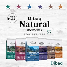 Dibaq Moments