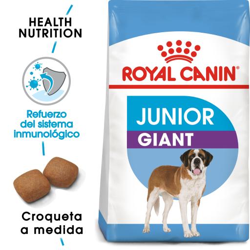 Huis afschaffen boom Royal Canin Giant Junior