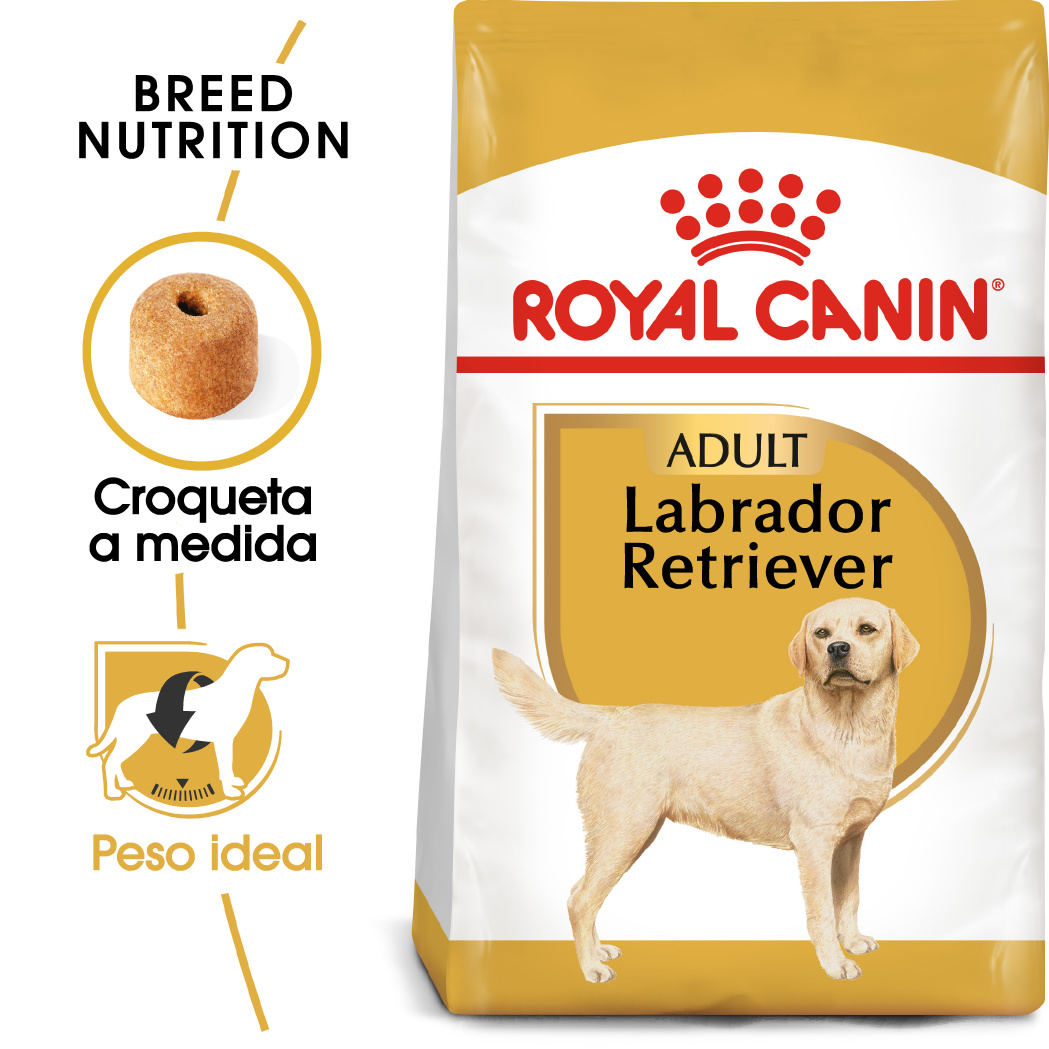 Miscota Royal Canin Labrador Retriever Adult Cibo per cani di Razza Pura