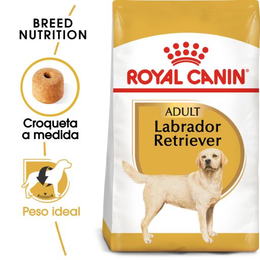 Labrador Retriever Adult Food for Breed Dogs