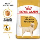 Labrador Retriever Adult Food for Breed Dogs 12 KG