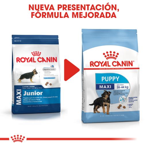 Pekkadillo Continu korting Royal Canin Hondenvoer Puppy / Junior Maxi