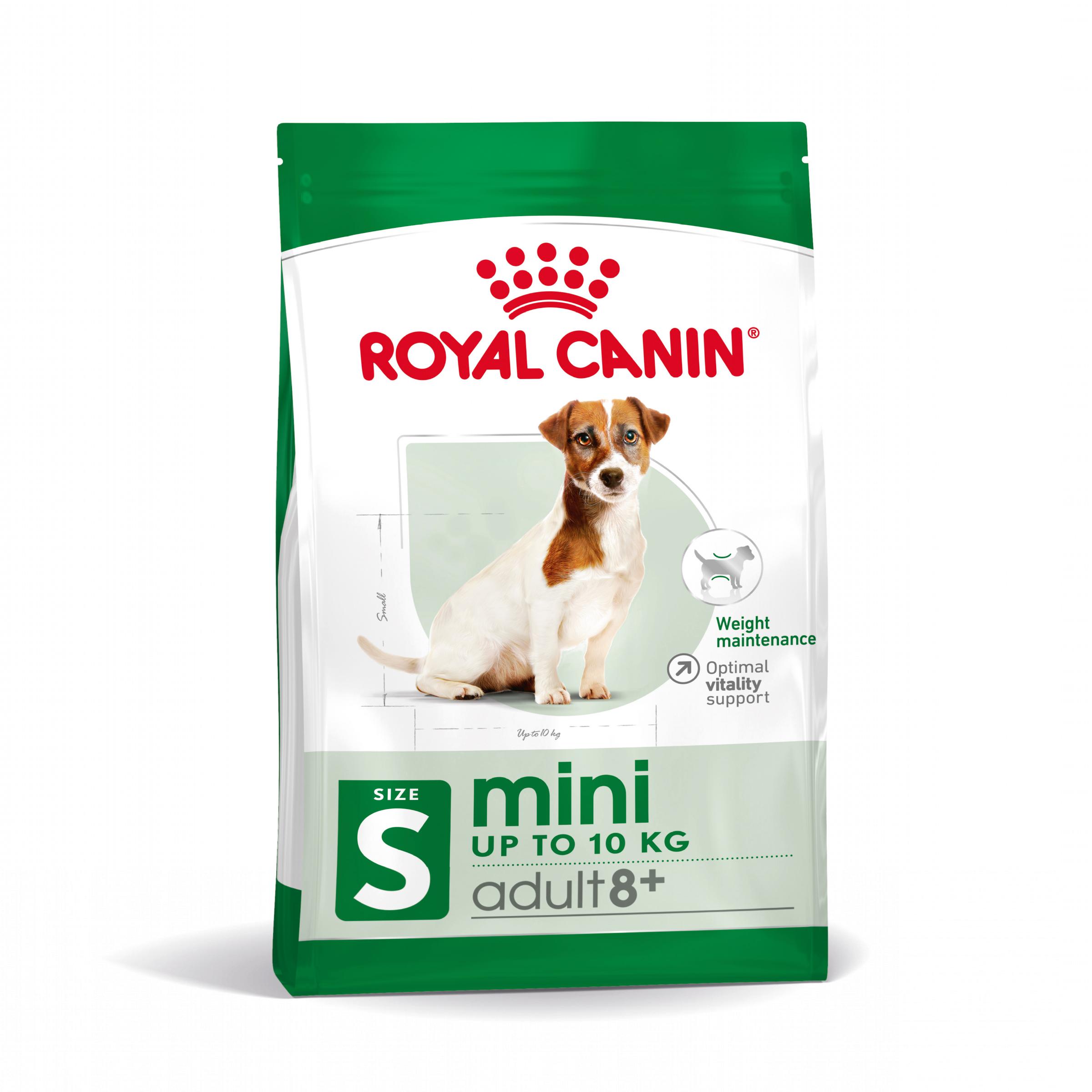 Miscota Royal Canin Mini Adult 8+Cibo per cani anziani di piccola taglia