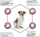 Mini +8 Senior Chicken and Rice