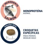 Sensitive Lachs und Reis