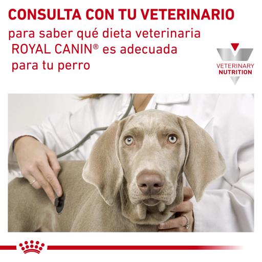 Royal canin store hypoallergenic dr21 14kg