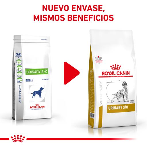 ingredients in royal canin so dog food