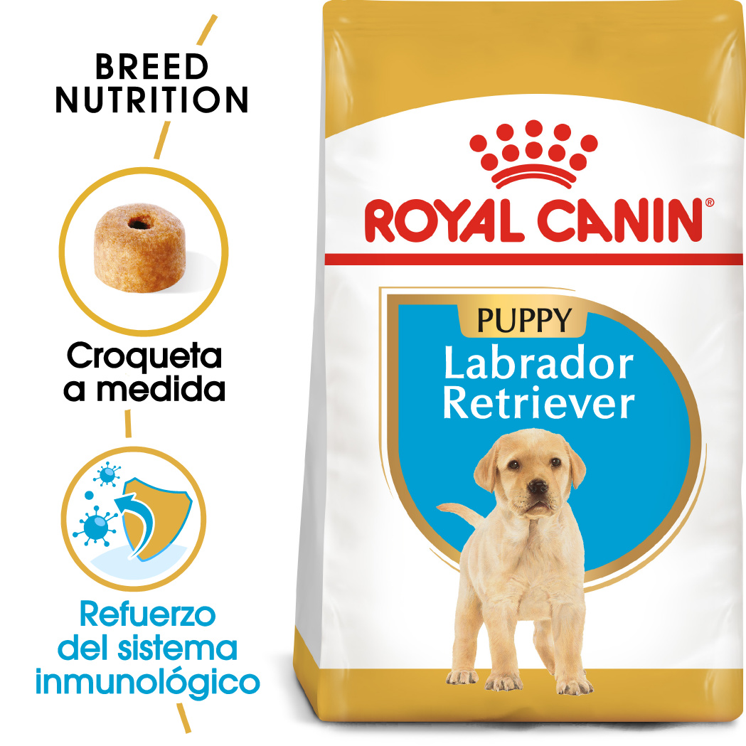 Miscota Royal Canin Cibo Secco per Cani Labrador Retriever Junior