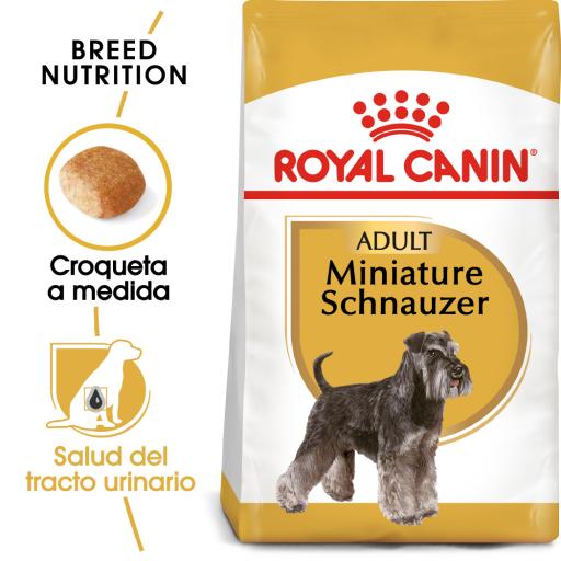 Giocattolo Da Costruzione Schnauzer In Miniatura: Set Di Blocchi Per Bambini E Amanti Dei Cani