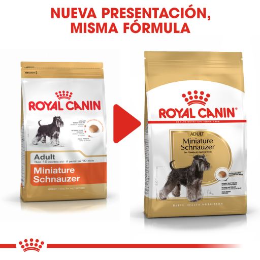 royal canin miniature schnauzer puppy