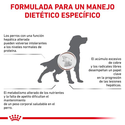 royal canin hf16