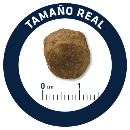 Advance Leishmaniasis Management