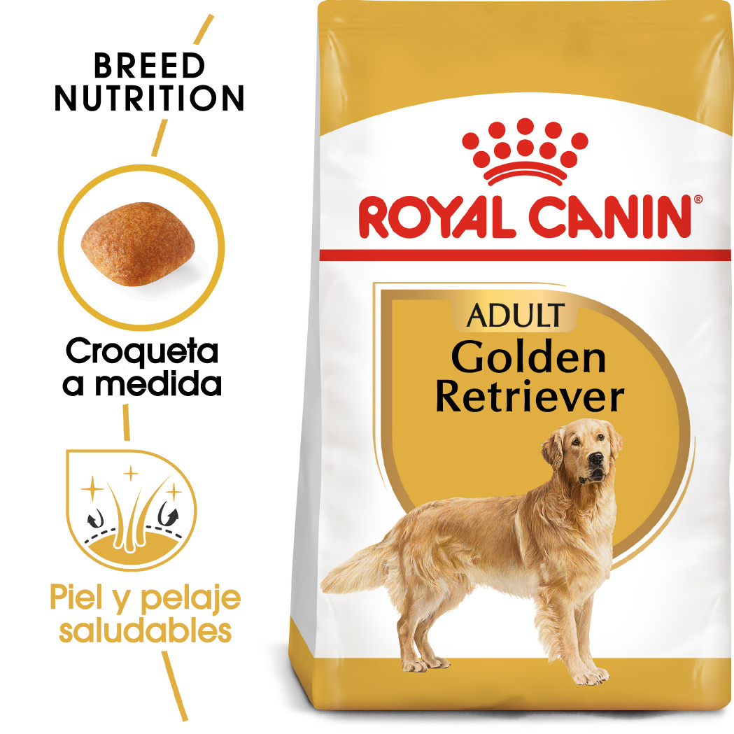 Miscota Royal Canin Golden Retriever Adult per Cani di Razza Adulti