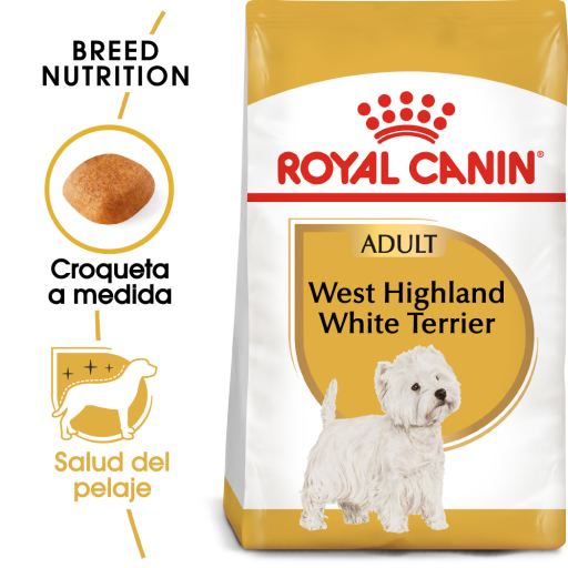West Highland Terrier Adult Ração Seca Cão Adulto de Raça