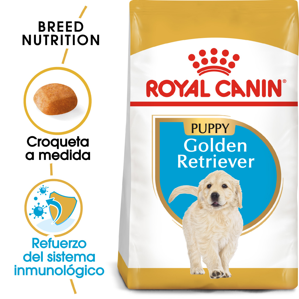 Miscota Royal Canin Cibo Secco per Cani Golden Retriever Junior