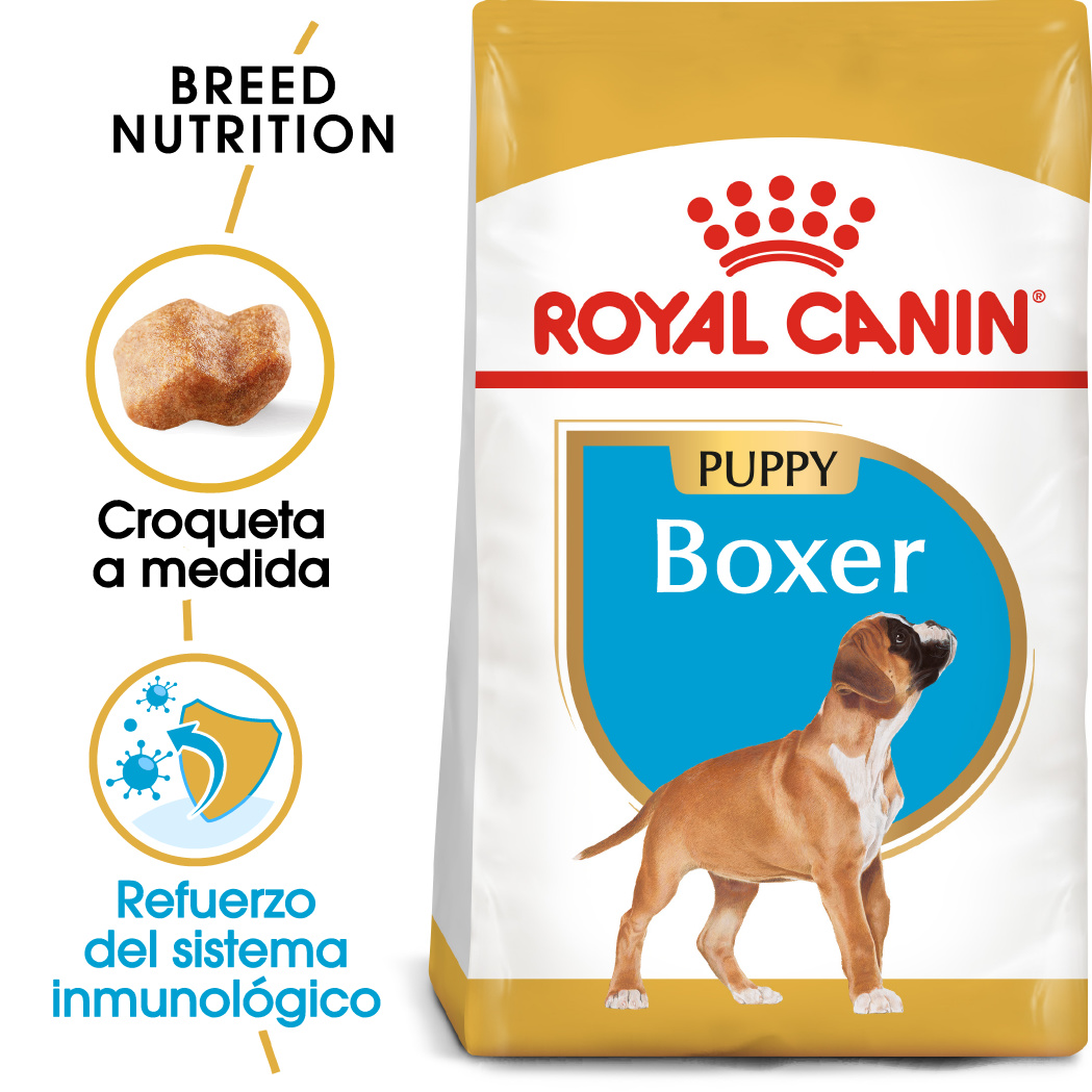 Miscota Royal Canin Cibo Secco per Cani Boxer Junior