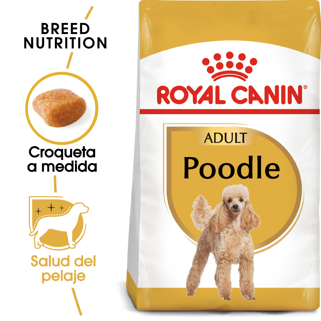 Miscota Royal Canin Poodle Adult