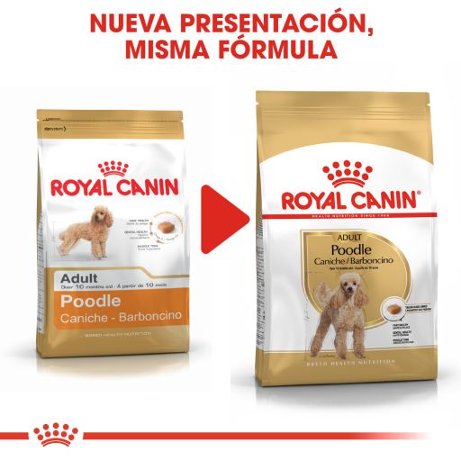 royal canin toy poodle