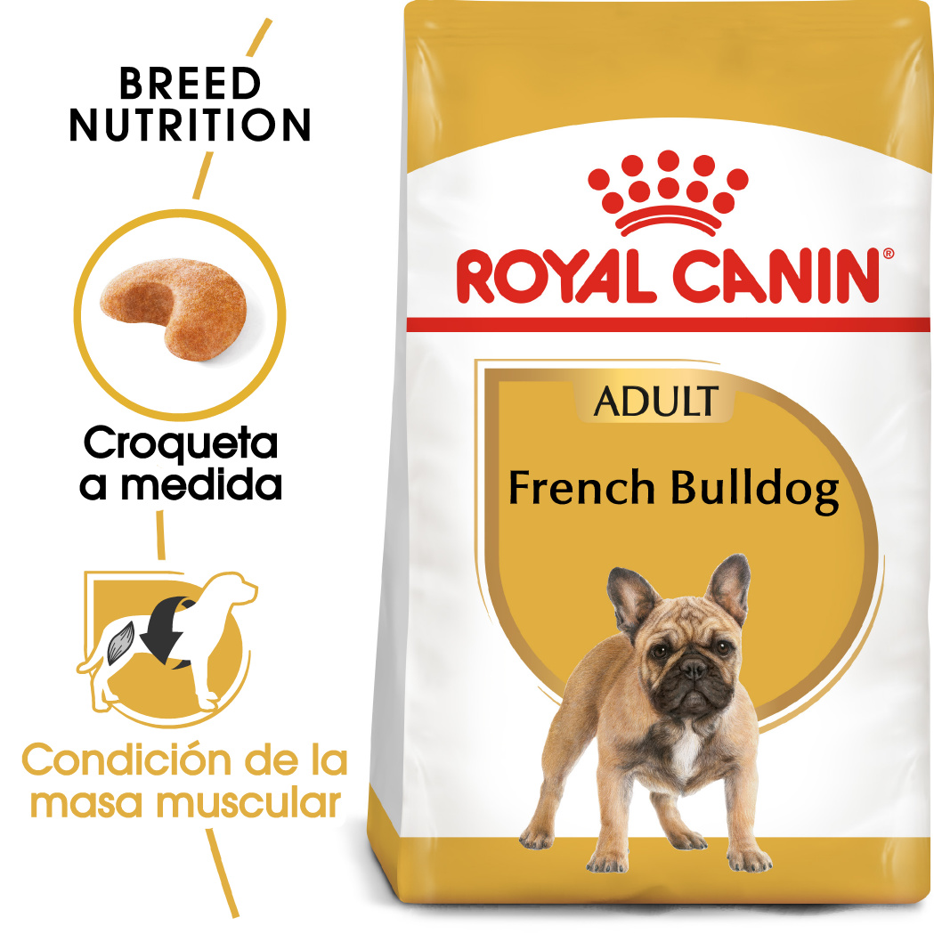 Miscota Royal Canin French Bulldog Adult Cibo per Cani Adulti Bulldog Francese