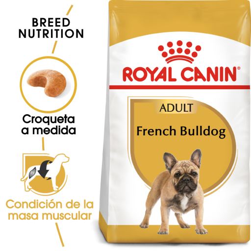 French Bulldog Adult pour Chien Adulte Bouledogue français