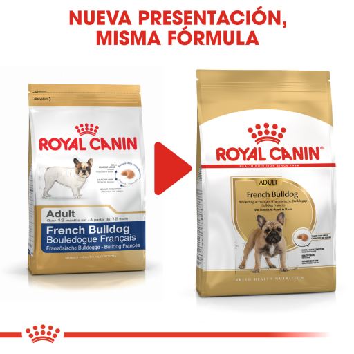 royal canin puppy food french bulldog