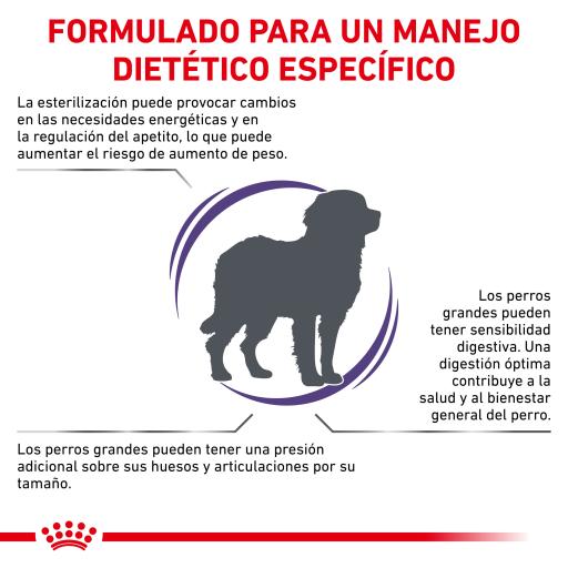 Royal canin neutered outlet large dog over 25kg