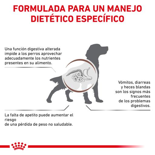 Royal Canin Gastro Intestinal 25 Canine Miscota Canada