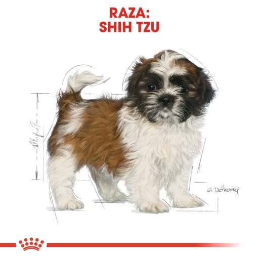 Royal Canin Shih Tzu Puppy Pienso Cachorro Raza